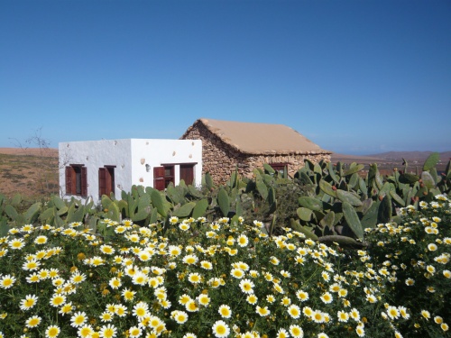 Casa de la Burra - Gîte Rural de Fuerteventura